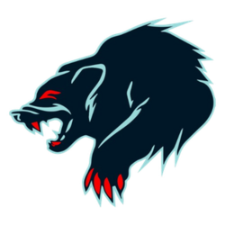 Team Physician for the Anchorage Wolverines